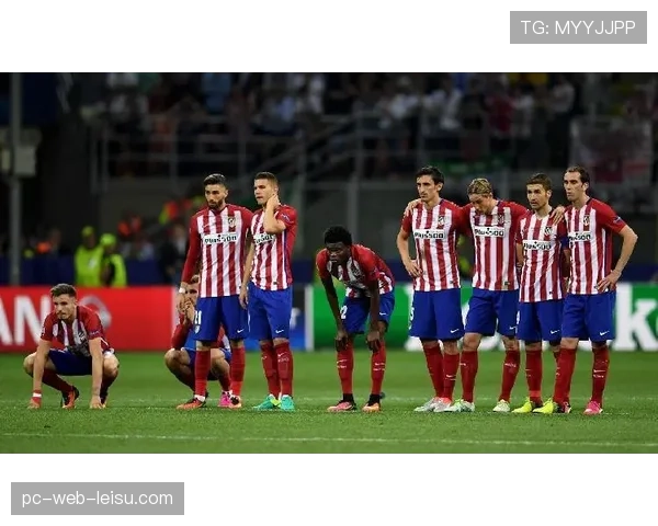 欧足联代表检查马竞草皮，依据规程确认草坪合规